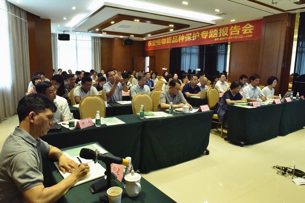 3 专题报告现场.jpg