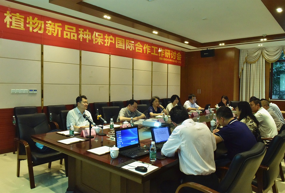 4 研讨会现场.jpg