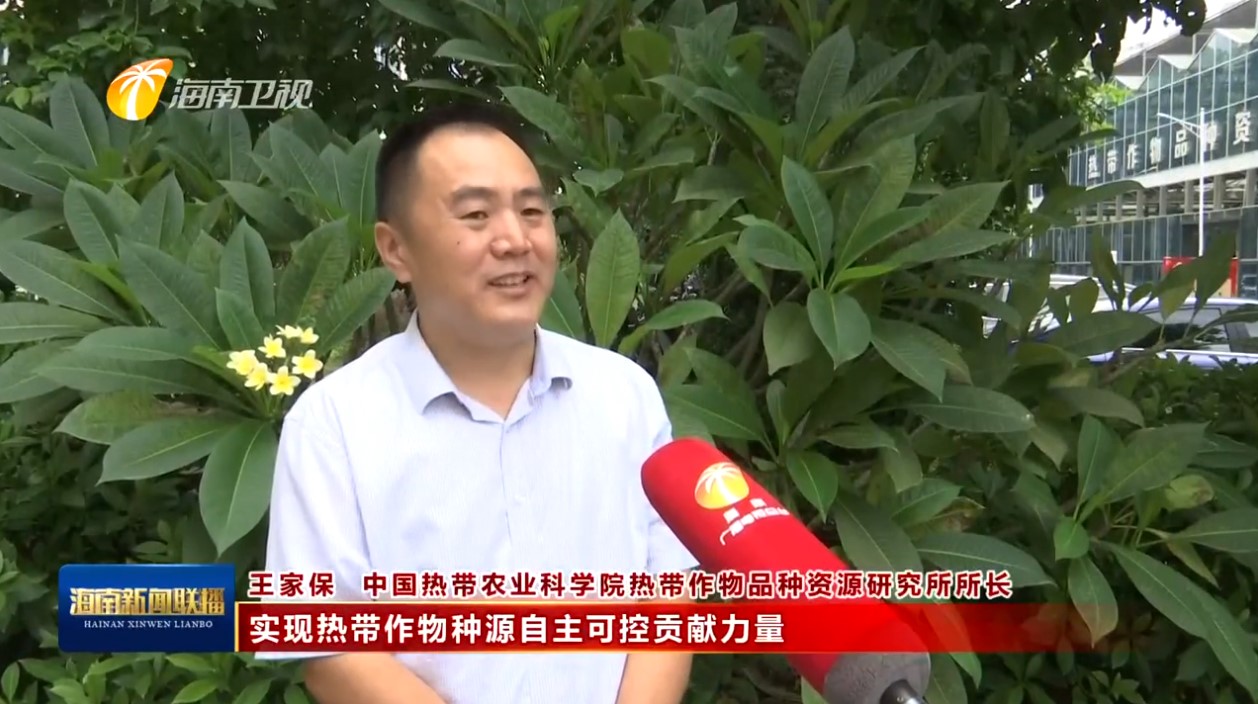 【海南卫视】党的二十大报告在海南广大党员干部群众中反响热烈：锐意进取 真抓实干 奋力开创海南自贸港高质量发展新局面