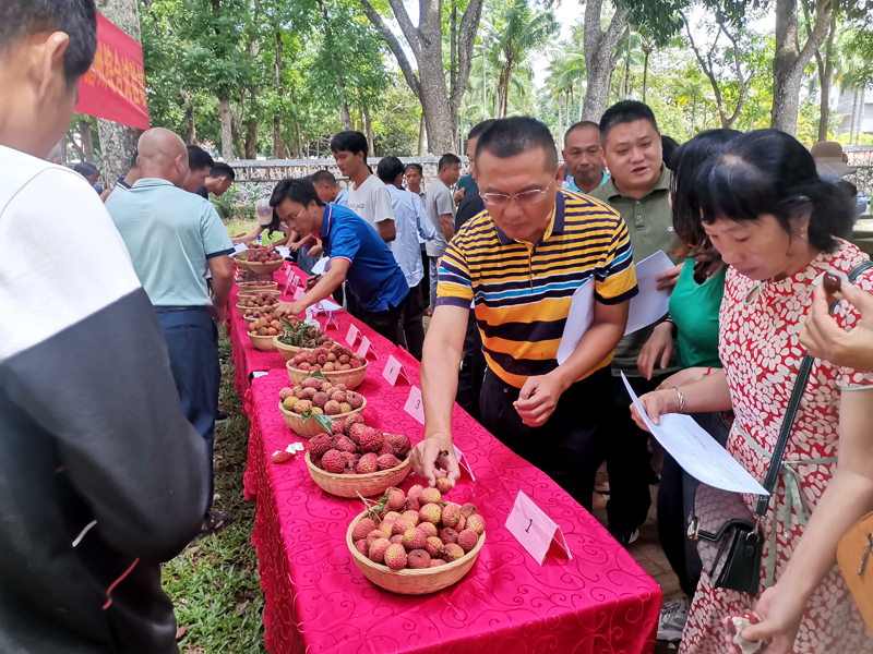 品鉴会现场-1.jpg