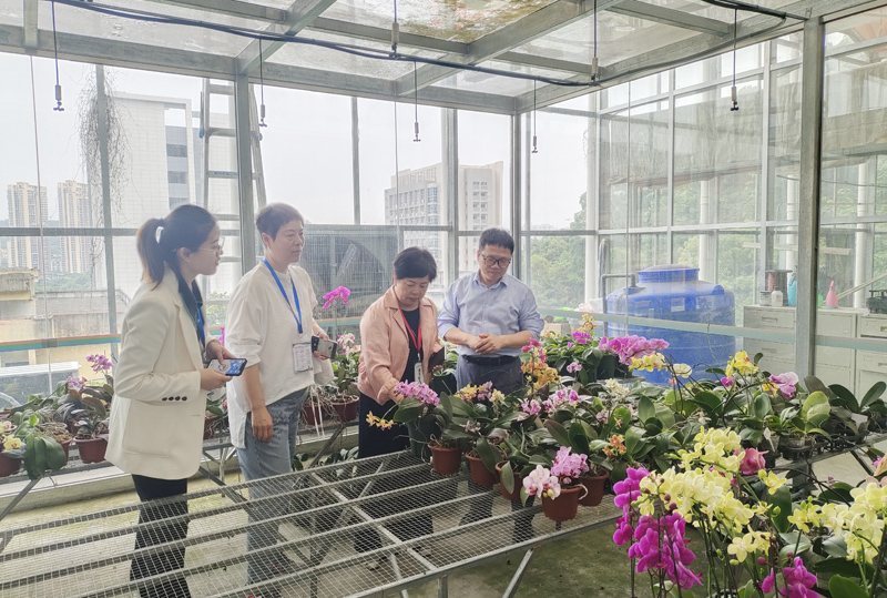 尹俊梅研究员参观调研福建农林大学兰花种质资源圃1.jpg