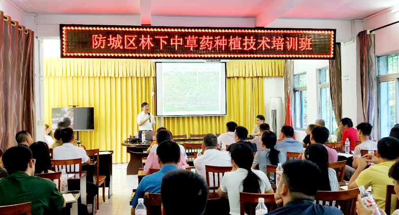 南药2.jpg