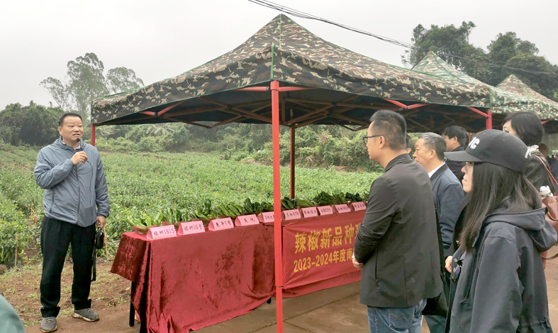 图2省冬季瓜菜产业技术首席介绍观摩品种的总体情况.jpg