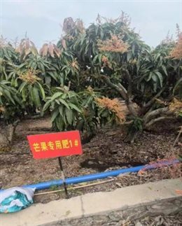 bceb8a978eb8731dc11f5885bc18f8f