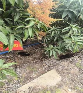 840a16f9a55dc6c61137c3700030720