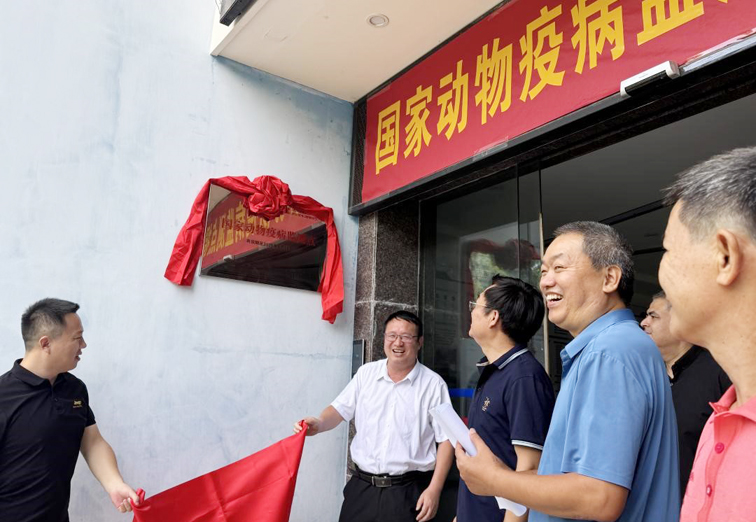 图片1.png