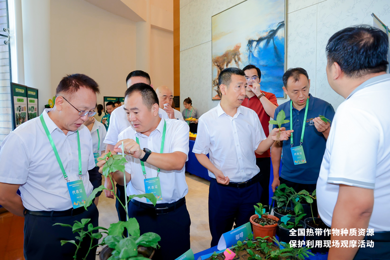 图片3.png