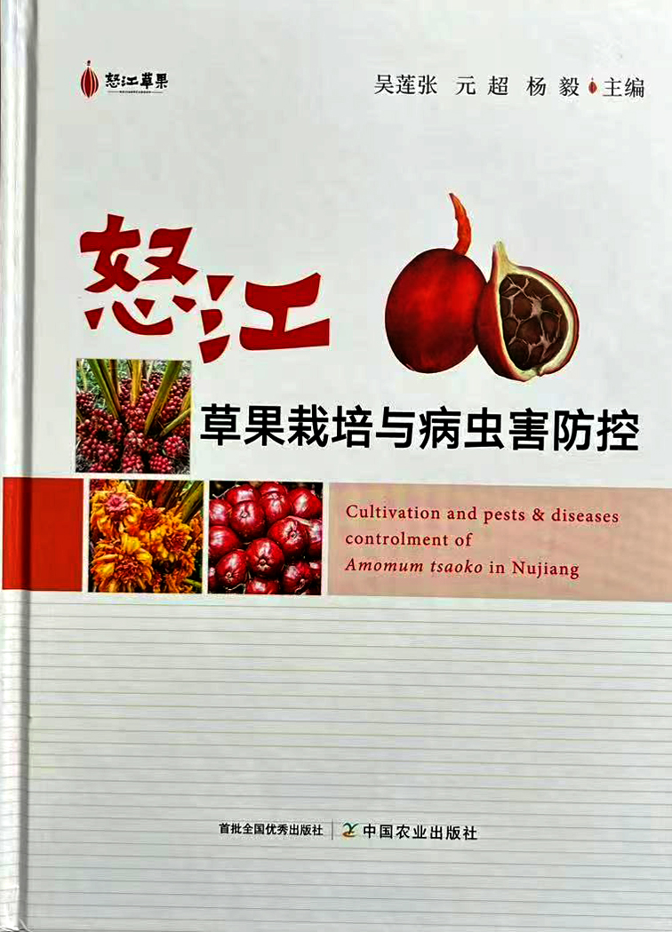 草果专著-改.jpg
